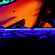 DeDigge Live Set@ hafensound.fm 13.07.21 image