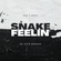 Dray, PAX - Snake Feelin (Ed Veto Mashup) image