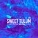 SWEET TULUM #1 - Mixed & Curated by Jordi Carreras. image
