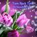 Turn Back Time image