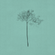 I Fall Apart | A Folk Funk & Trippy Troubadours Mix image