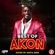 Mista Bibs & Modelling Network - Best Of Akon image