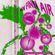 Micky Finn - Getting Thin With The Finn Vol 4 - In Finn Air - Autumn 93 image