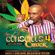 Conscious Reggae Vol 4 - Chuck Melody image