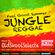 Feel Good Summer Jungle Reggae by Old Skool Selecta - DJ Ricky Spires image