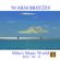 WARM BREEZES image