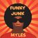 Myles - Funky Junk image