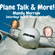 Shelle Luscombe  - Plane Talk & More With Shelle Luscombe image