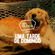 #28 - SEIS MÚSICAS PARA UMA TARDE DE DOMINGO image