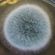PT 1 JonnyT-8 HOUR SET NON STOP LIVE - Mycelial Inoculate the Human Substrate Mix - April 2021 PT 1 image