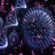 EEGORHYTHMS CLOUDCAST #16: Eegor Presents 'The Delta Wave' Lockdown Studio Edition image