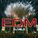 DJ WILD - EDM Mix image