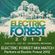 Electric Forest Mix Match 2012 image