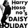 Daisy Holiday w/ Haruomi Hosono - 23rd May 2021 image