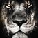 Jungle Revelation : Ragga Jungle Rinse Out - Sept 2019 image