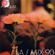 IA MIX 90 Afriqua image