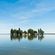 Island in the Sun image