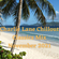 Charlie Lane Chillout Classics Mix November 2021 image