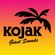 DJ Ionik Night Entertainment Mix image