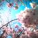 ☆作業用BGM☆〜だから私は桜を見あげたくなったんだ〜☆Spring mix image