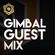 Gimbal - Disco House Recurrence Part 1 (Studio Mix) image