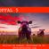 OFFAL 5 image