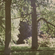 NFNE #57 |Alt-Kerst| image