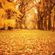 Autumn MIX for Casual Up_Tempo Lovers image
