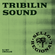 Tribilin Sound DJ Set (Uwuclub) image