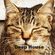 Cafe Gatto / Deep House Vol.38 image
