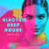 Electro House Club/Dance Mix image