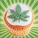 DIMDOZ - selectahz cookbook vol.1[jungle ragga muffins] image