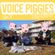 VOICE PIGGIES RADIO vol.07 image