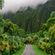 NA'U image