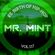 MR. MINT - RE-BIRTH OF HIP-HOP VOL.117 image