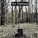 The Trailhead 85 (1/29/23) image