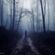Dark Path image