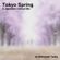 Tokyo Spring - A Japanese Chillout Lounge Mix image