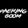 DJ PAEKINGBOOM EDM Set Fuck COIVE-19 !!! image