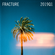 Fracture 2019Q1 image