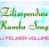 Zilizopendwa Kamba Mix DJ Felixer Vol 2 image