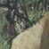 Bonhomie: Spring to morning, the summer running — ??/??/?? image
