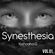 Synesthesia Vol 01 image