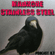 STAINLESS STEEL (PODCAST N.7) - MADKORE image