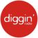 DumBo - Diggin' Radio Live 2k17 image