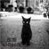 The Black Cat (Sm127) 115-120bpm image