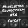 Minelectro Soundsystem Mixtape Vol.30 FT. FatCat image