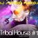 TRIBAL HOUSE #1 image