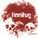 Tinnitus 29 juni 2016 - festival special image