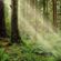 Quietmusic - Complete Three-Hour Program - September 3 image